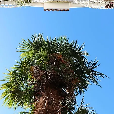 Roso Gradac (Split-Dalmatia)