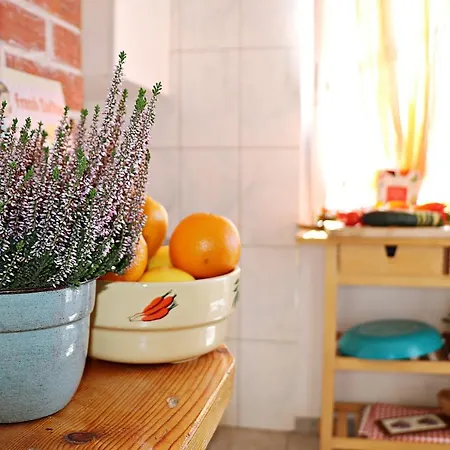 Roso Gradac (Split-Dalmatia)