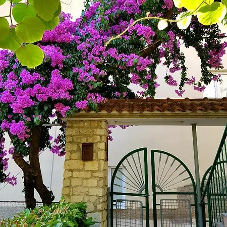 Roso Gradac (Split-Dalmatia)
