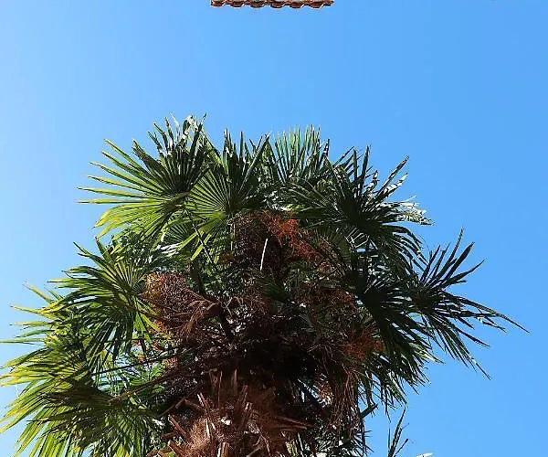 Roso Gradac (Split-Dalmatia)