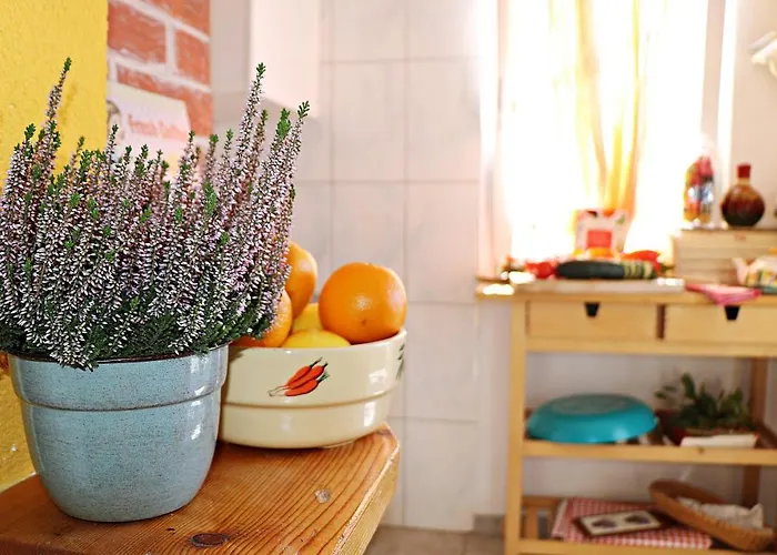 Roso Gradac (Split-Dalmatia)