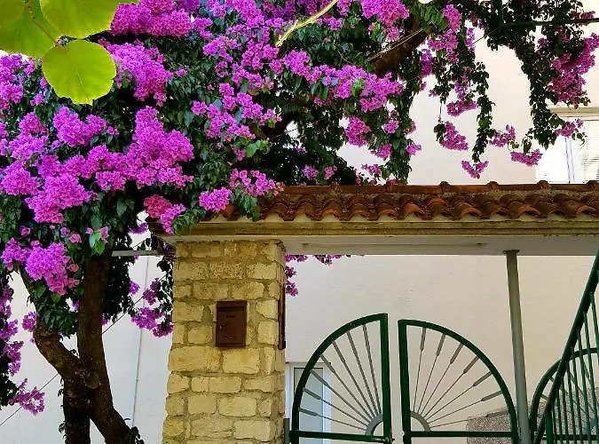 Roso Gradac (Split-Dalmatia)